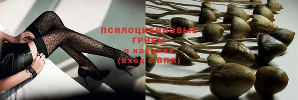 jwh Верхний Тагил